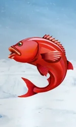 Ice Fishing